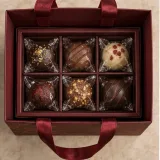 Custom burgundy ribbon-handle gift bag packaging — Ribbon-handle bag — Interior & handles