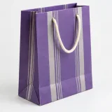 Custom skincare duo packaging — Cord-handle paper bag — Side gusset