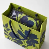 Silk scarf — Cord-handle paper bag