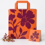 Custom hand cream duo packaging — Flat-paper handle bag — Complete set