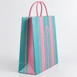 Custom travel accessories packaging — Twisted-paper handle bag — Side gusset