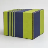 Custom skincare duo packaging — Four-flap shipping carton — Side / rear