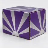 Custom sealed supplement bottle packaging — Four-flap shipping carton — Side / rear