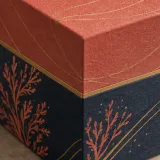 Custom haircare gift set packaging — Hexagonal lift-off box — Material & finish