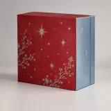 Custom Christmas corporate gift packaging — Double-door box — Side / rear