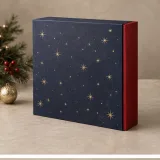 Custom christmas corporate gift set packaging — Magnetic book box — Side / rear