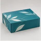 Custom wellness bottle duo packaging — Collapsible magnetic rigid box — Side / rear