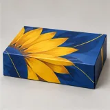 Custom daily vitamin kit packaging — Collapsible magnetic rigid box — Closed set