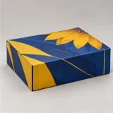 Custom daily vitamin kit packaging — Collapsible magnetic rigid box — Side / rear